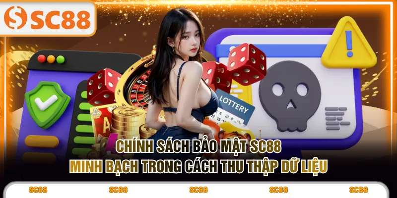 Chính sách bảo mật SC88 minh bạch trong cách thu thập dữ liệu