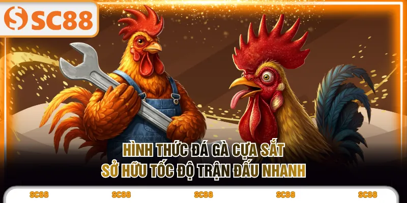 Hình thức đá gà cựa sắt sở hữu tốc độ trận đấu nhanh