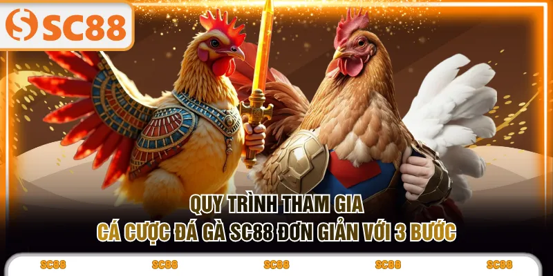 Quy trình tham gia cá cược đá gà SC88 đơn giản với 3 bước
